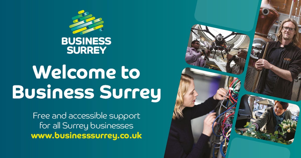 Image advertising the new Business Surrey website